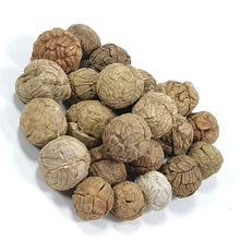 Wholesale High Quality Dried Alpinia Hainanensis Seeds Katsumade Galangal Seeds